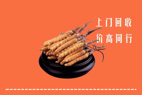 高价求购：哈尔滨回收散虫草