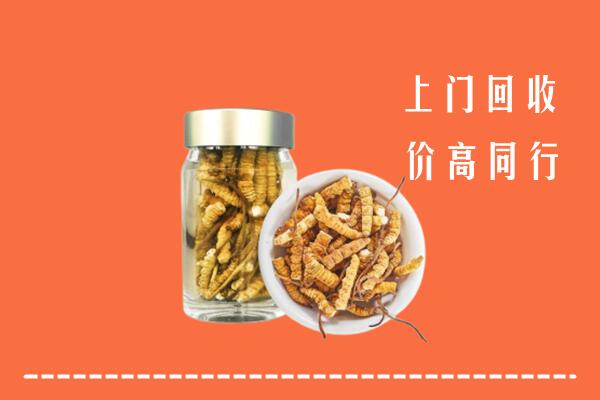 哈尔滨回收冬虫夏草